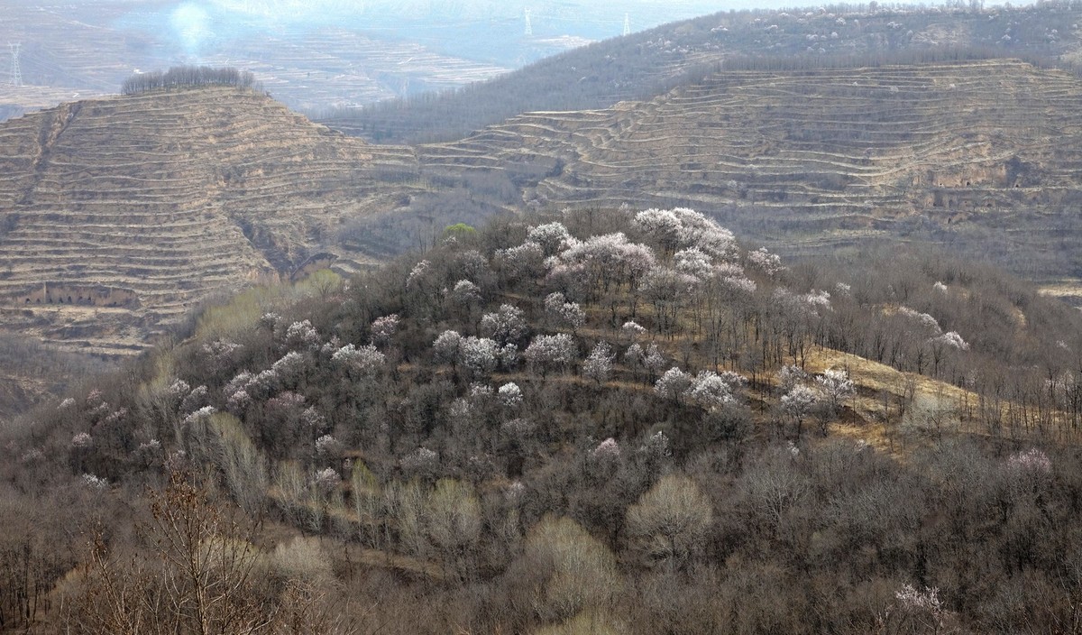 我只是把出去看到的随手记录下来（143）