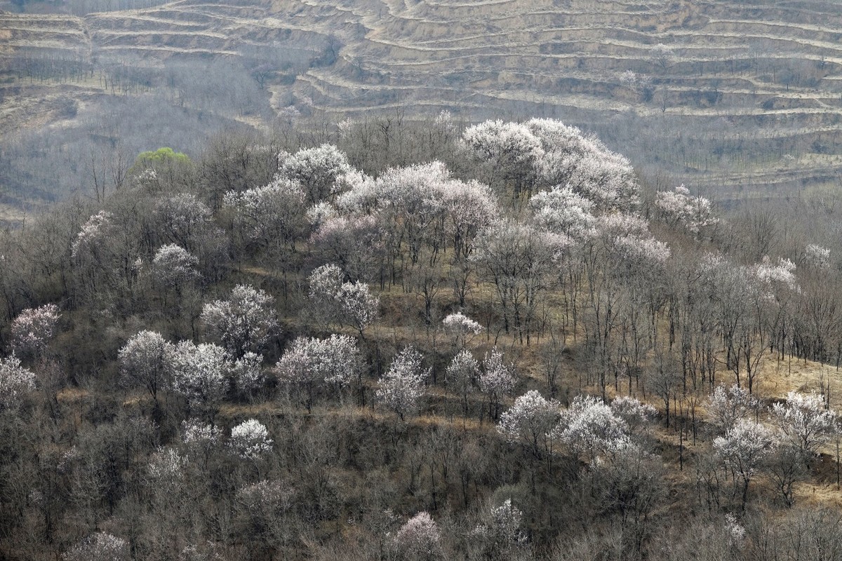 我只是把出去看到的随手记录下来（143）