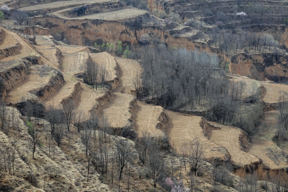 我只是把出去看到的随手记录下来（143）