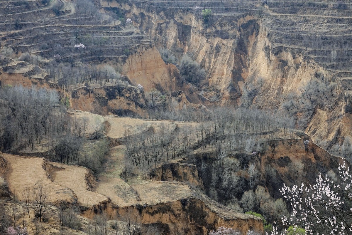 我只是把出去看到的随手记录下来（143）