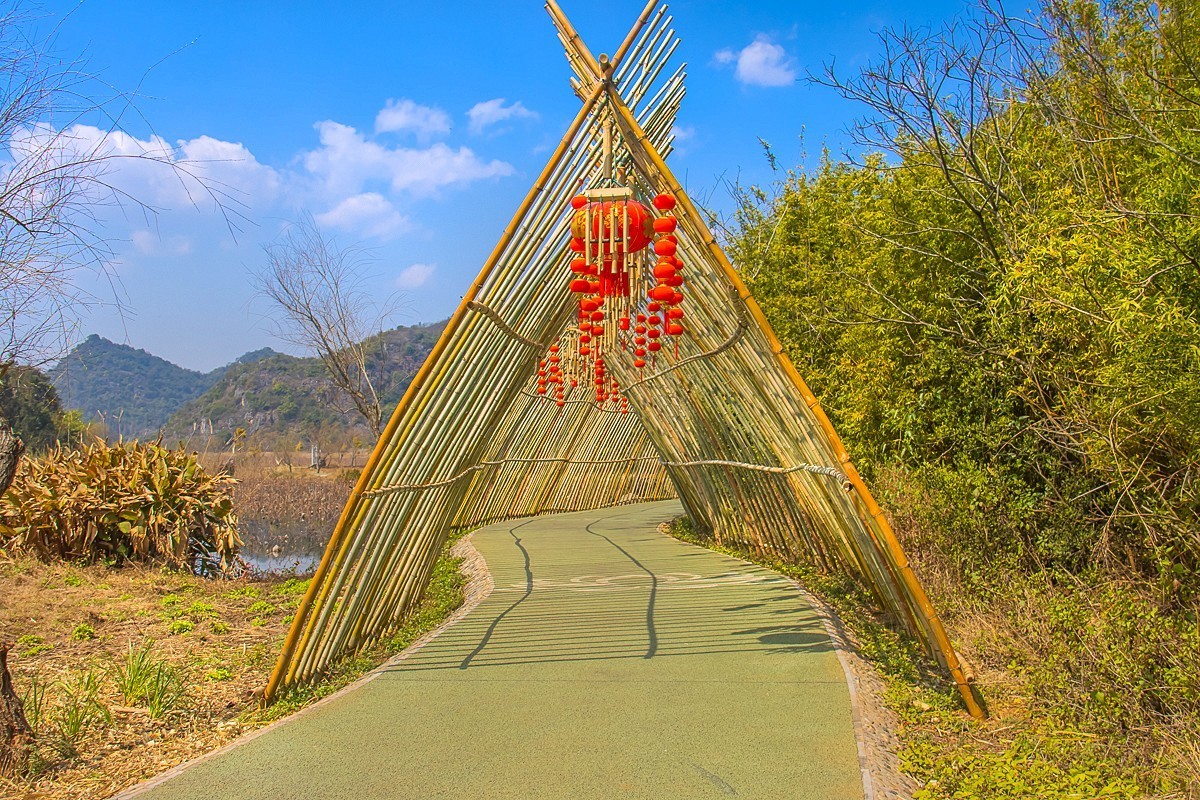 2025-04-19云南普者黑天鹅湖（二）