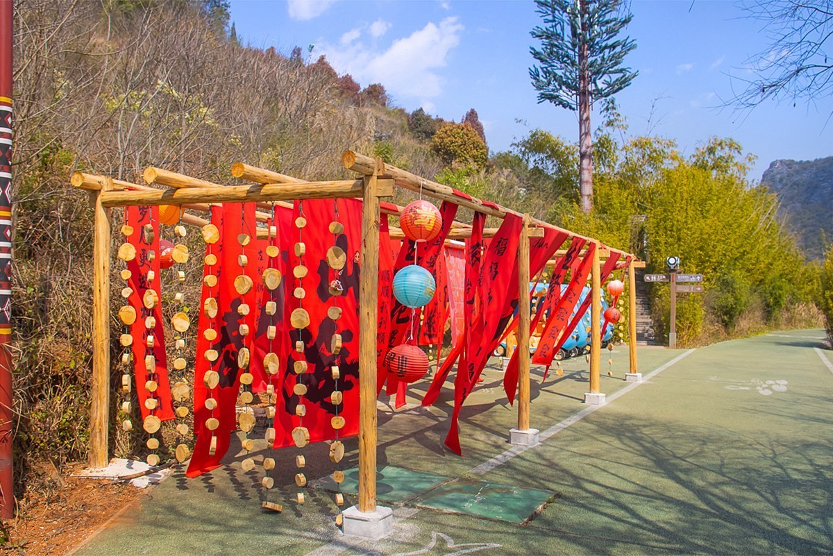 2025-04-19云南普者黑天鹅湖（二）