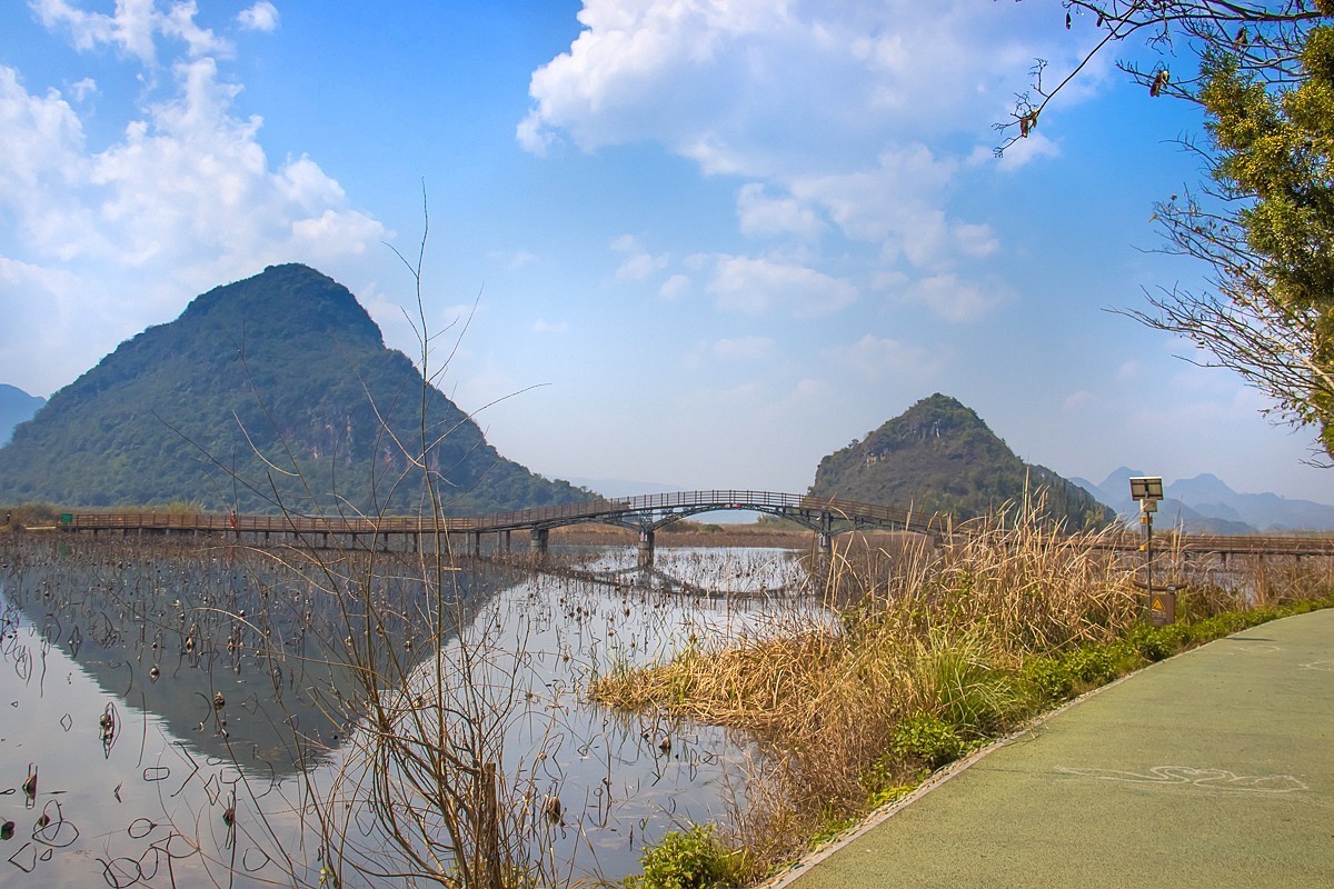 2025-04-19云南普者黑天鹅湖（二）