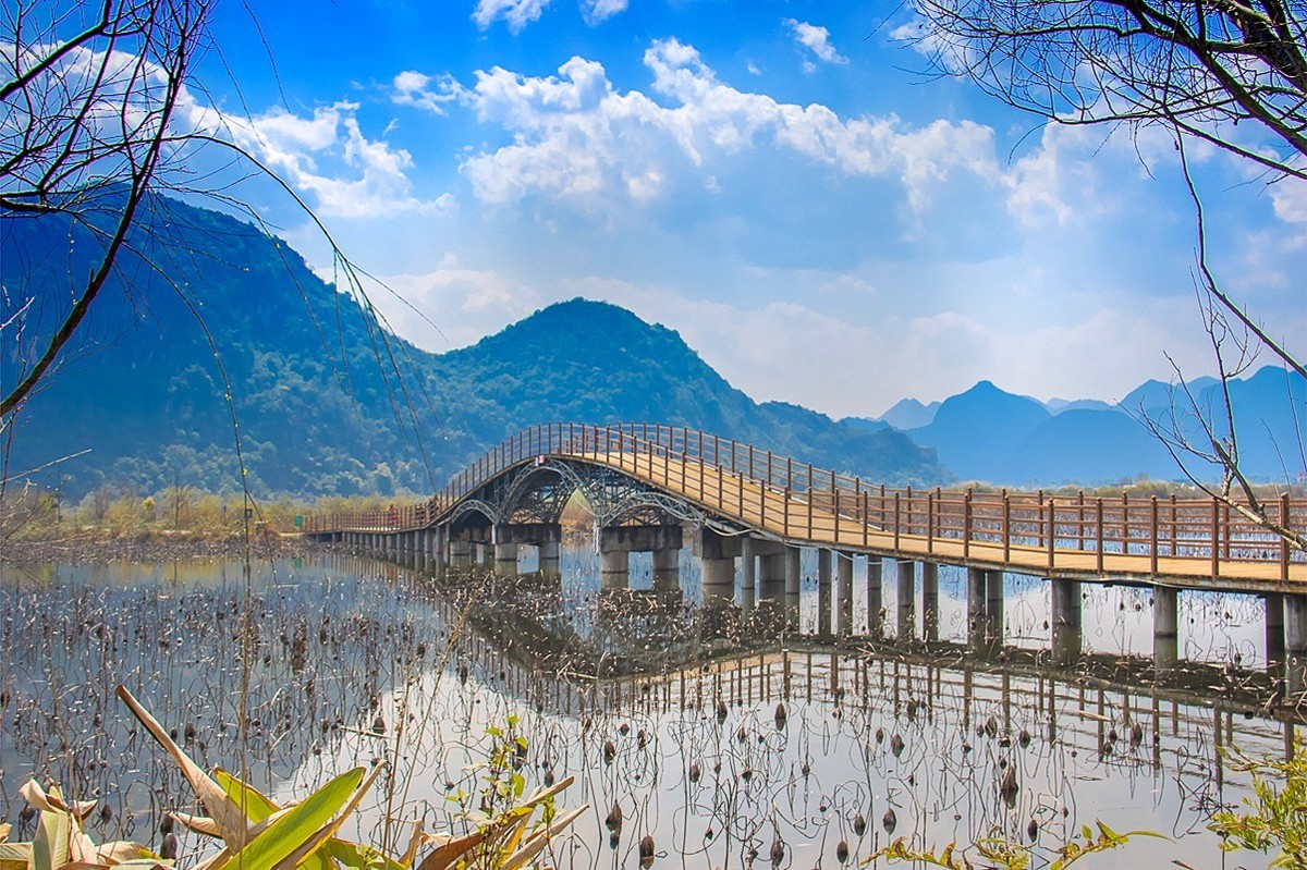 2025-04-19云南普者黑天鹅湖（二）