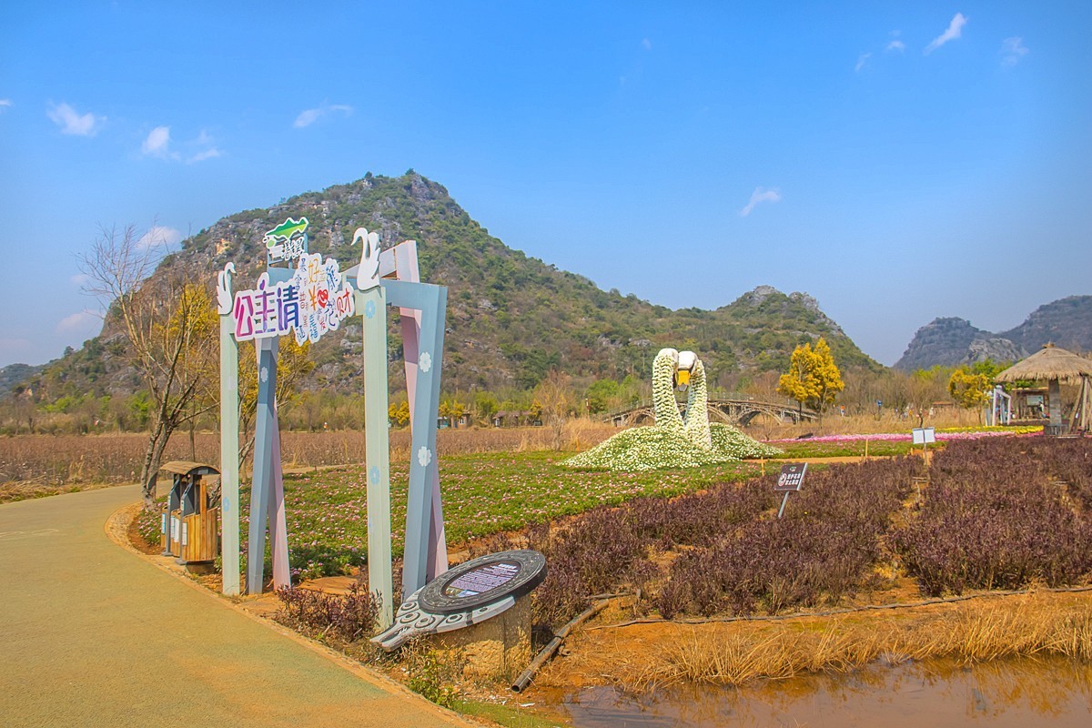 2025-04-19云南普者黑天鹅湖（二）