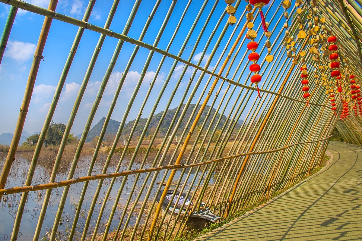 2025-04-19云南普者黑天鹅湖（二）