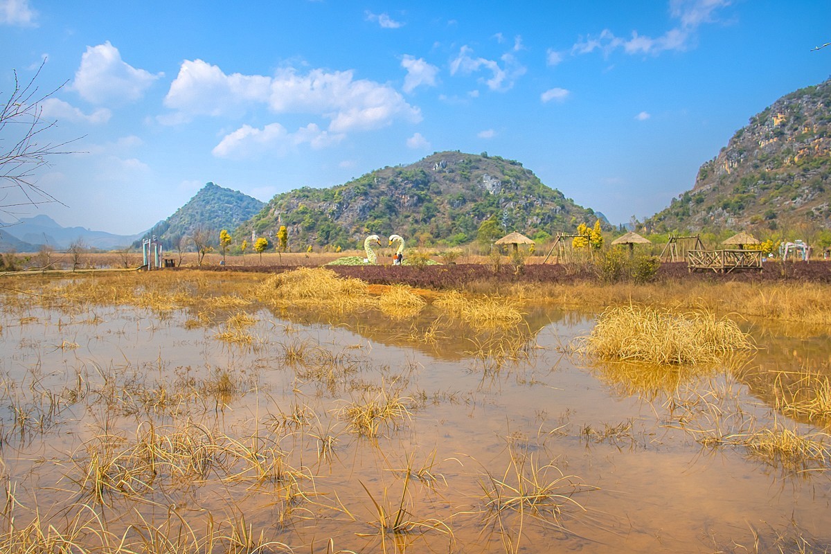 2025-04-19云南普者黑天鹅湖（二）