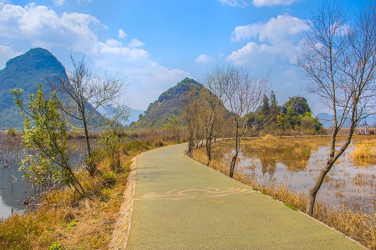 2025-04-19云南普者黑天鹅湖（二）