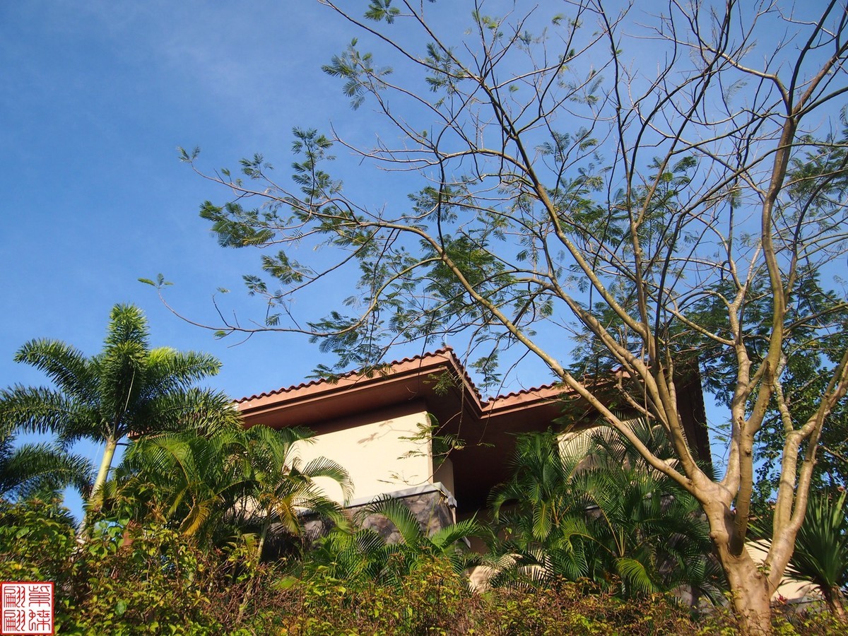 2023.11.19海南旅游随拍（3）