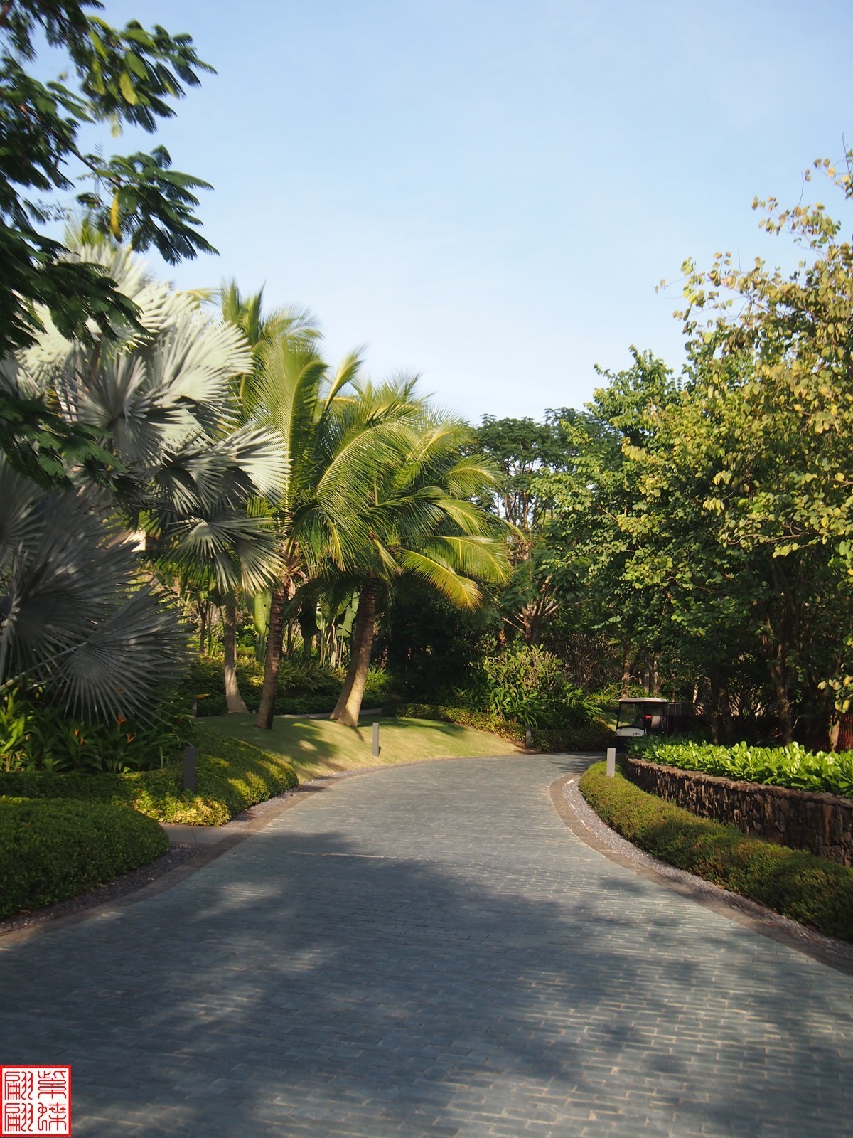 2023.11.19海南旅游随拍（3）