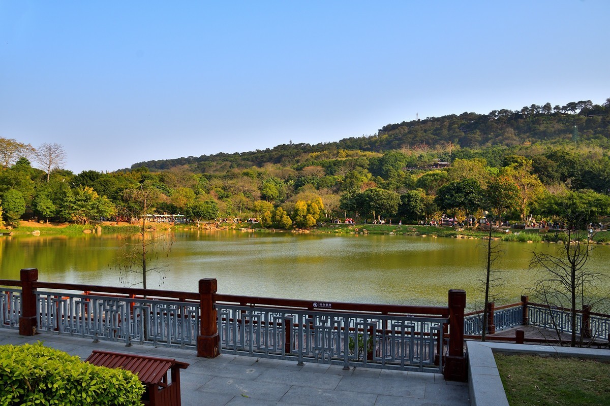 春日兰湖掠影4