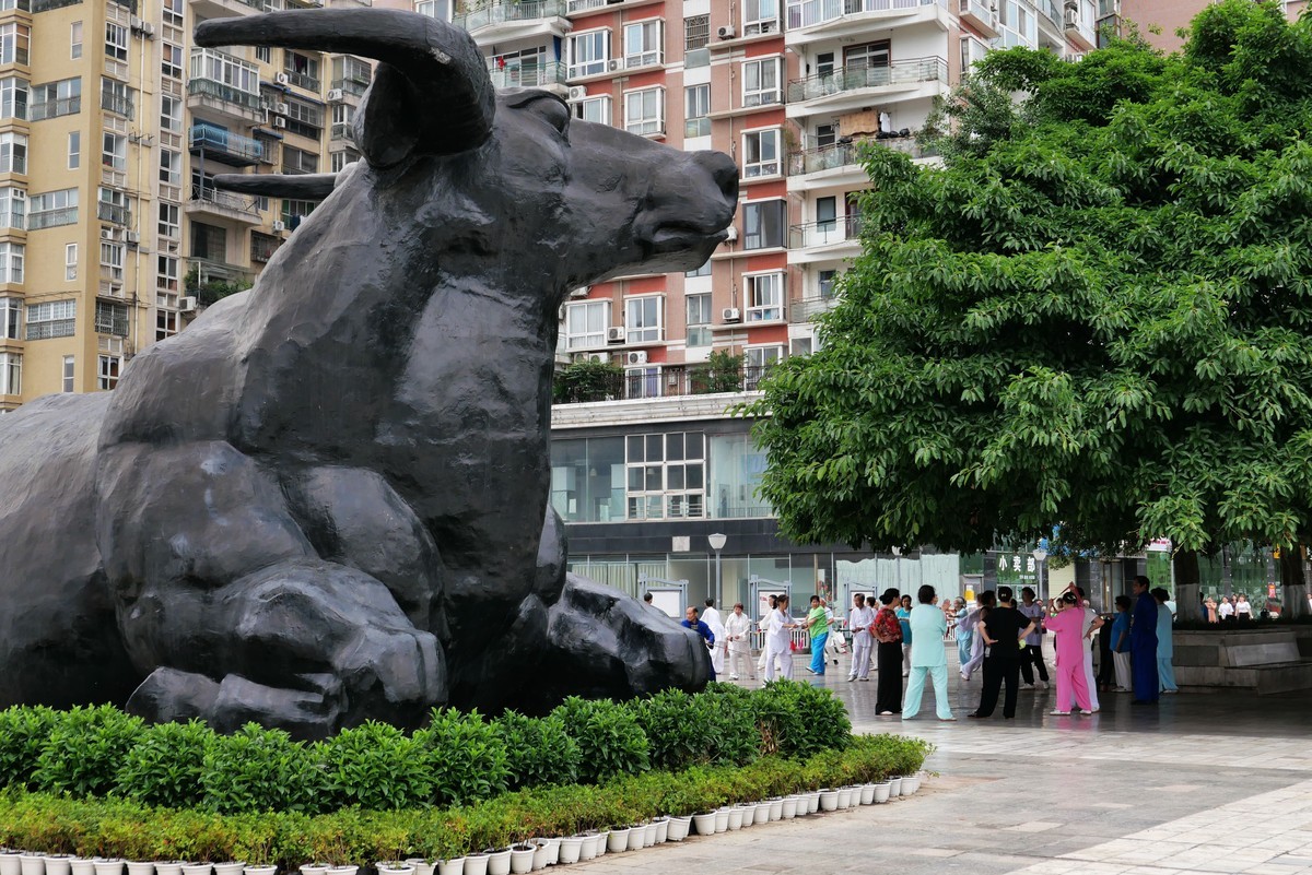 6月19日街拍之三