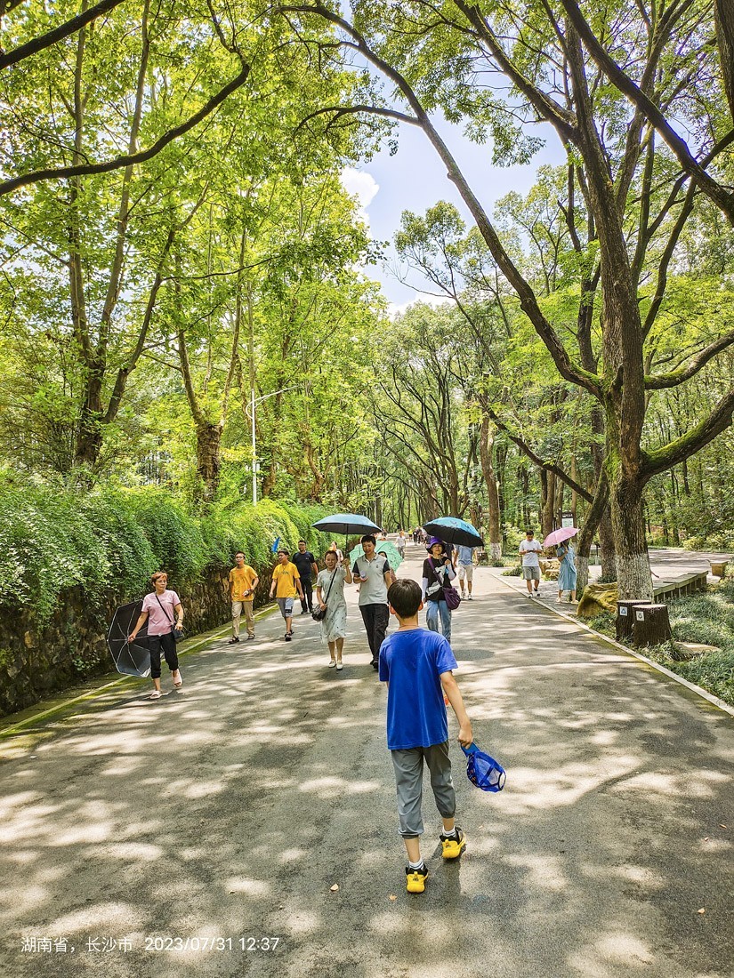 东南五省游之三十一———湖南长沙宁乡刘少奇故乡游