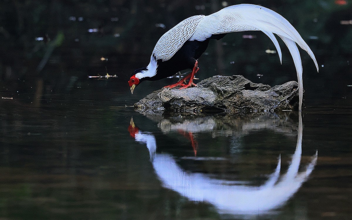 R5 功能强大！还在摸索中！