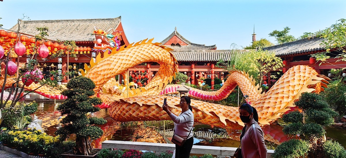 开封（矛盾城）菊展（手机版）