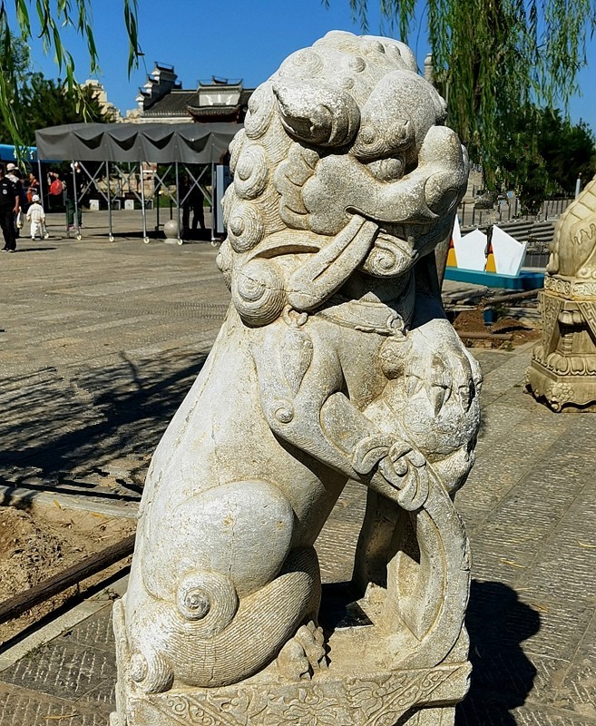 《不老松：纪实摄影》大美沧州系列報道：〔15〕百狮园！百狮园的石狮雄姿各异，历久沧