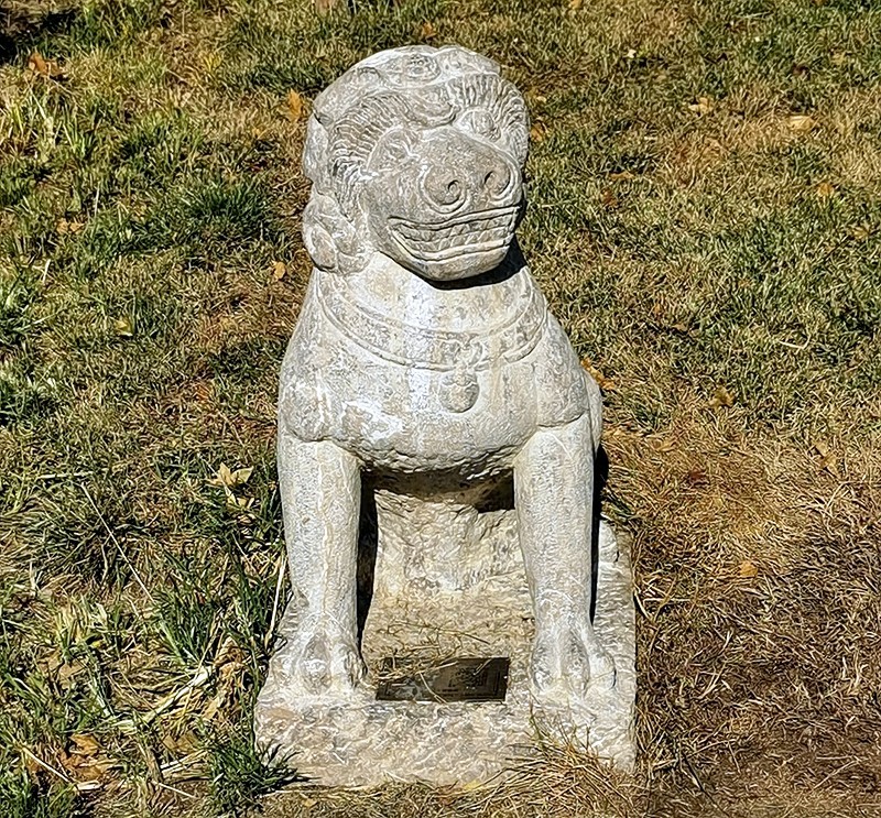 《不老松：纪实摄影》大美沧州系列報道：〔15〕百狮园！百狮园的石狮雄姿各异，历久沧