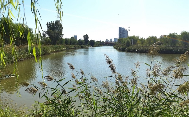 《不老松：纪实摄影》大美沧州系列報道：〔16〕百狮园！百狮园景介绍完毕！后面更精彩