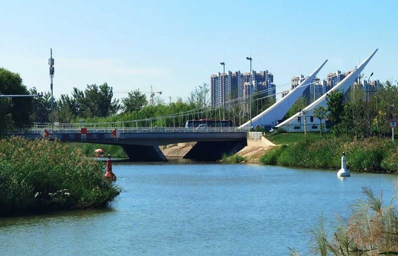 《不老松：纪实摄影》大美沧州系列報道：〔16〕百狮园！百狮园景介绍完毕！后面更精彩