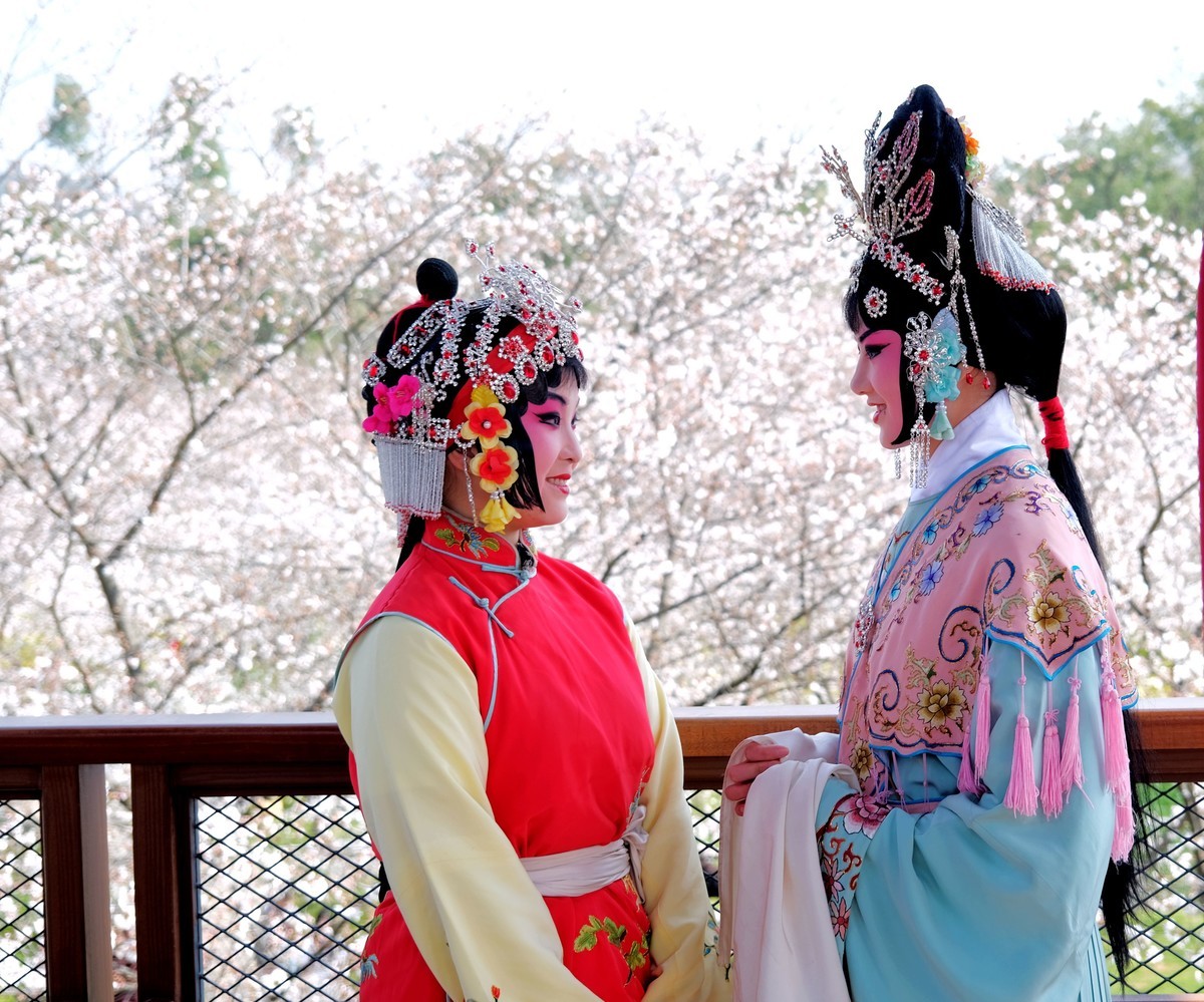 随拍樱花园的戏剧演员美女