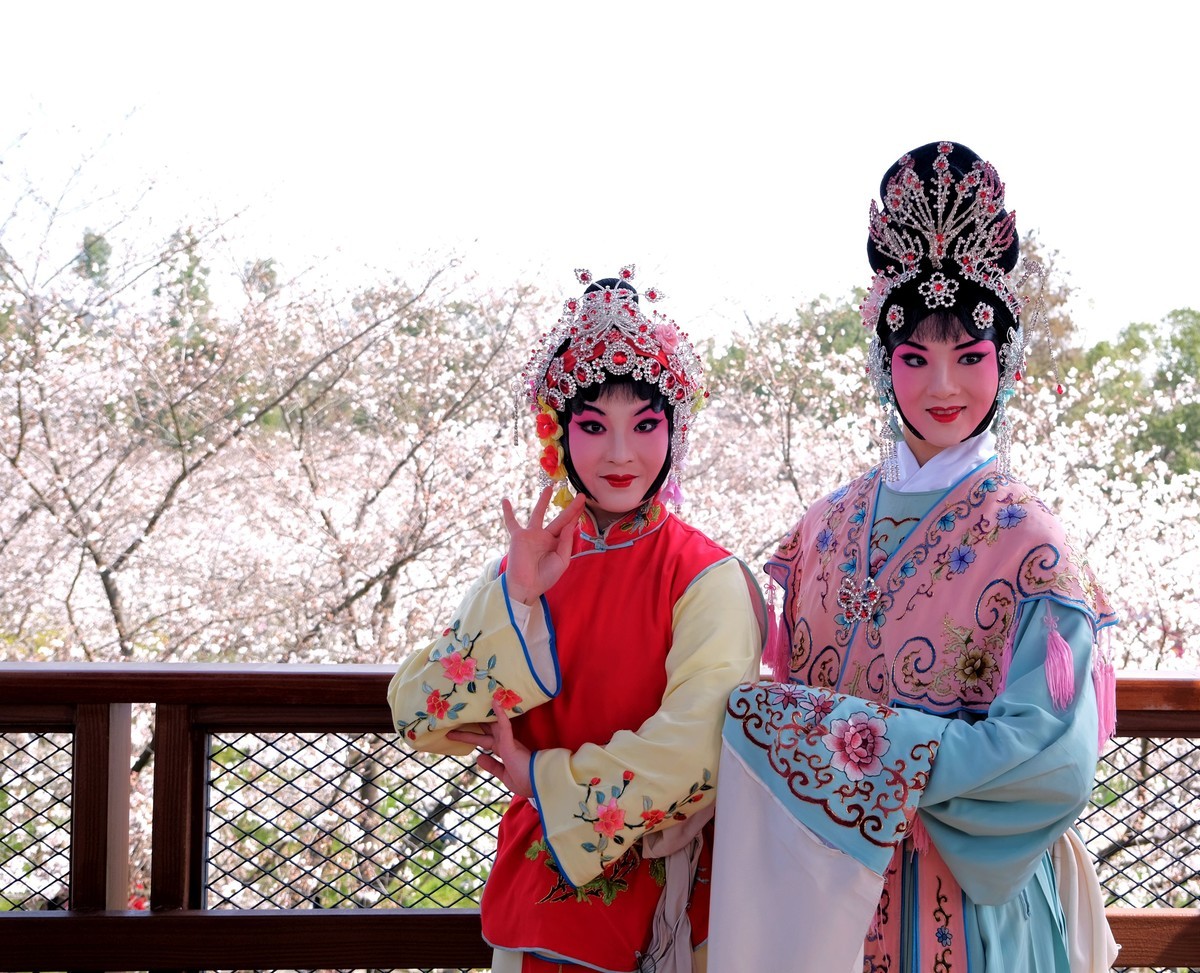 随拍樱花园的戏剧演员美女