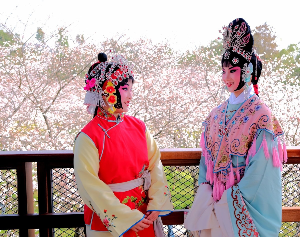 随拍樱花园的戏剧演员美女
