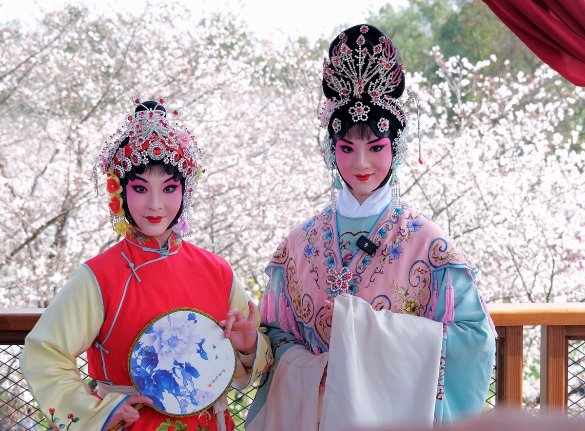 随拍樱花园的戏剧演员美女