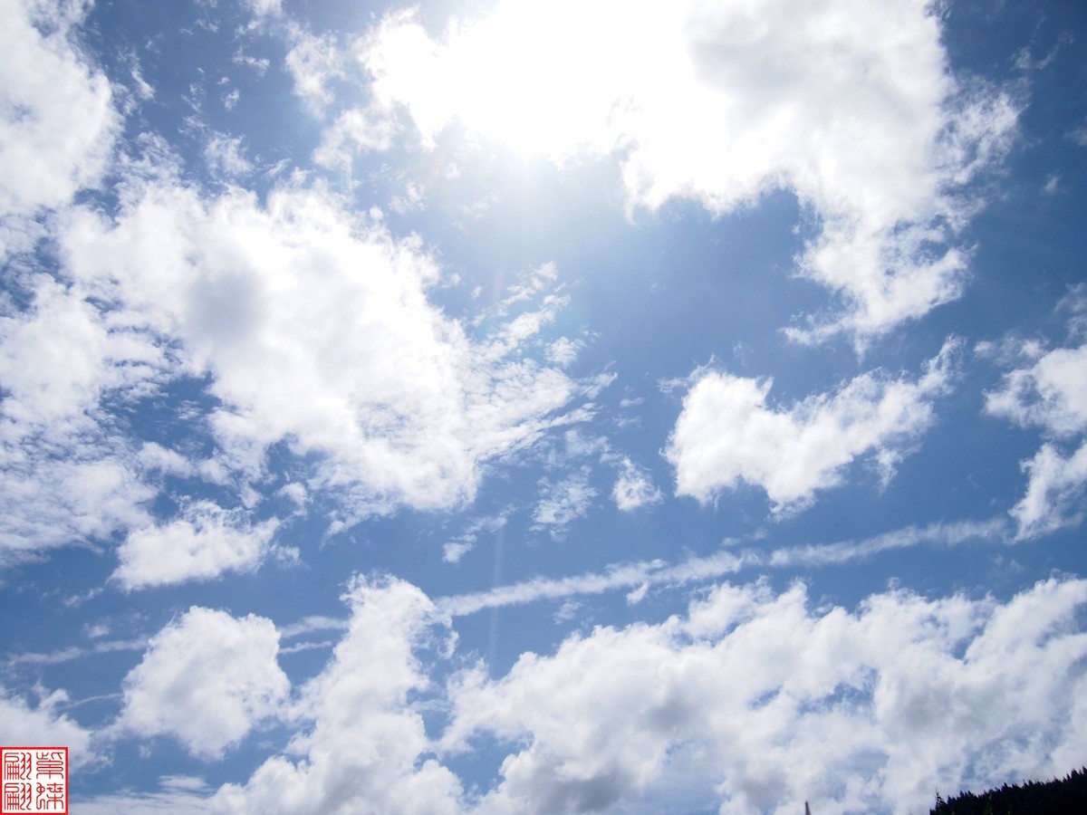 云南旅行路中随拍照（16）