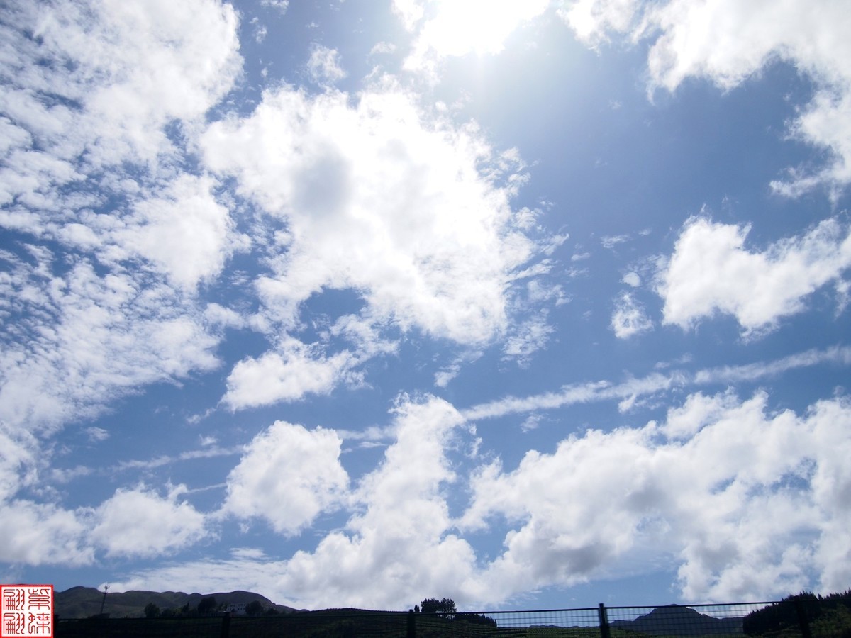 云南旅行路中随拍照（16）