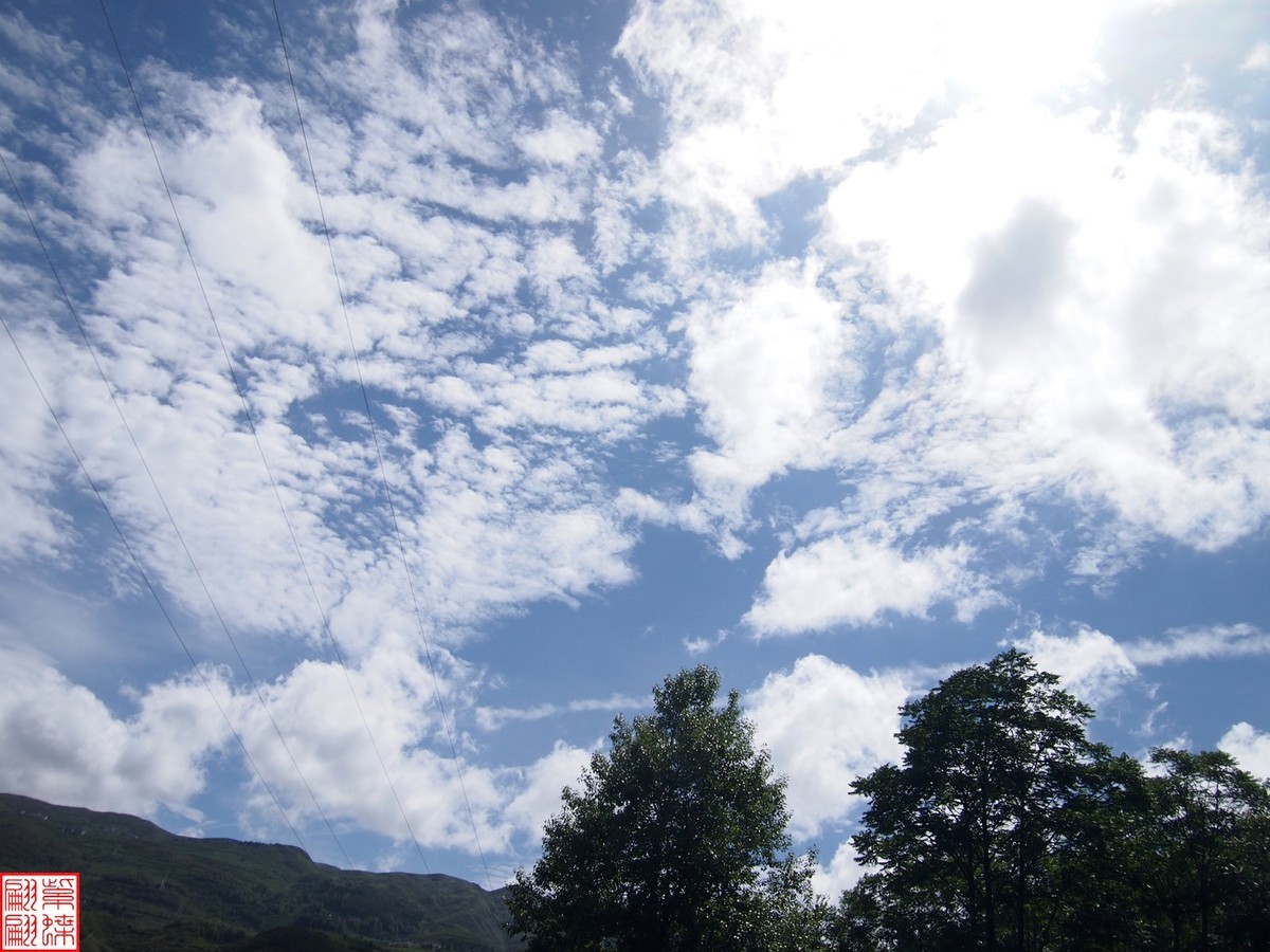 云南旅行路中随拍照（16）