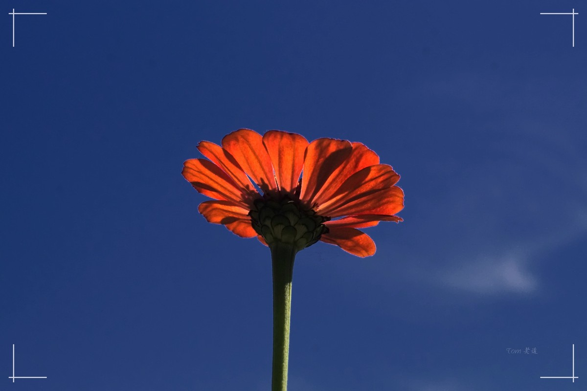 秋色斑斓 脚下留情！