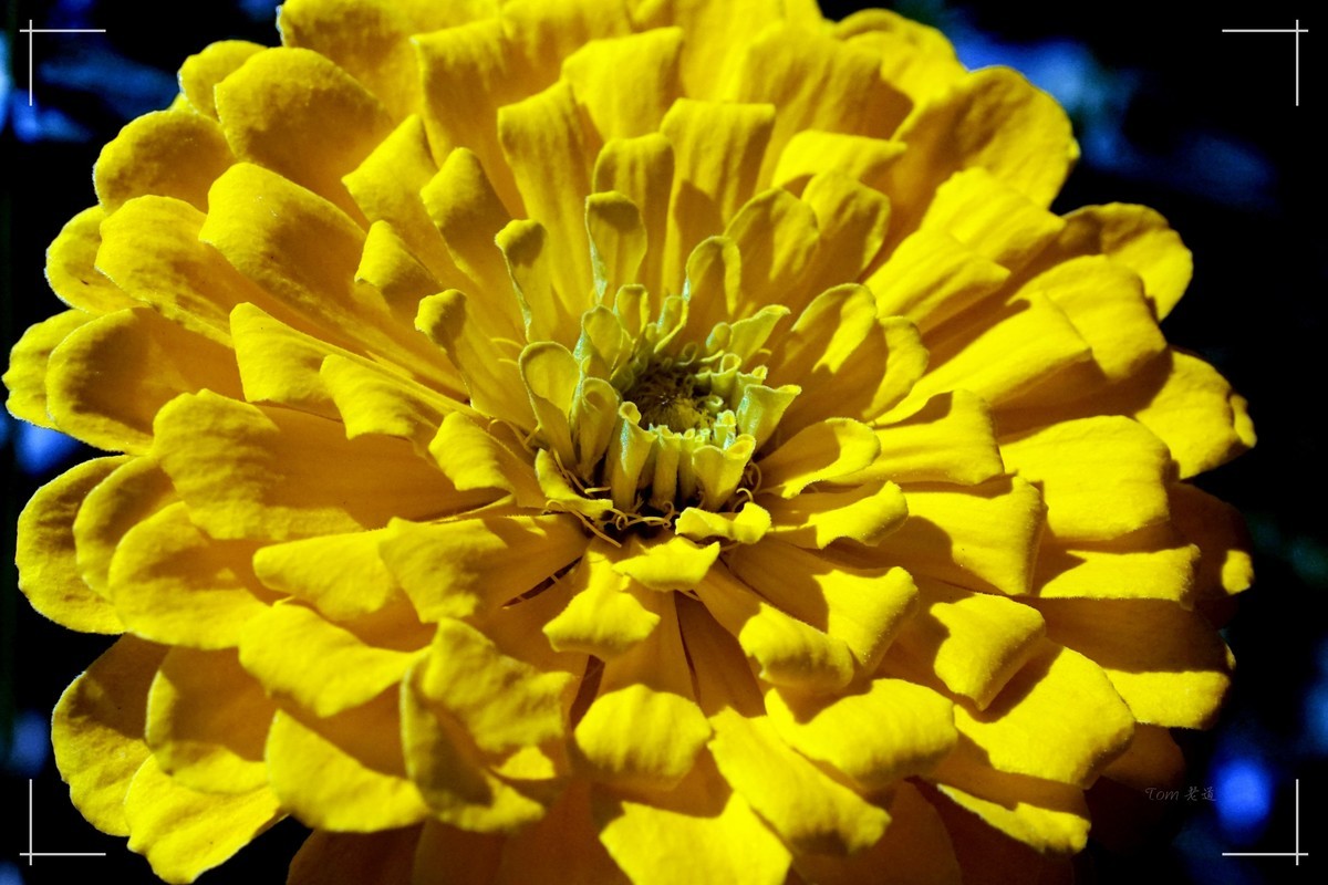 秋色斑斓 脚下留情！