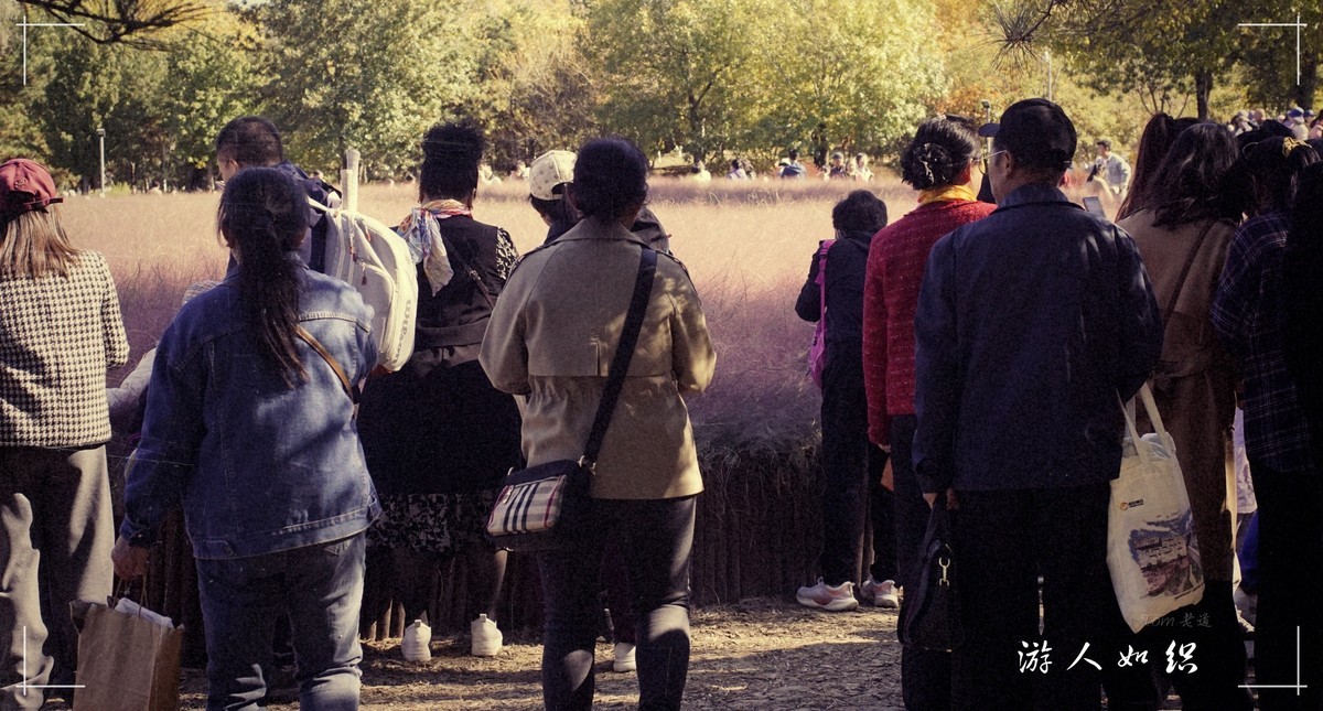 秋色斑斓 脚下留情！