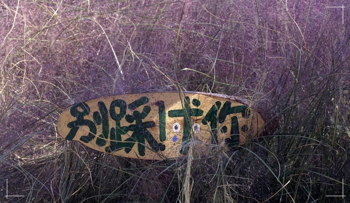 秋色斑斓 脚下留情！