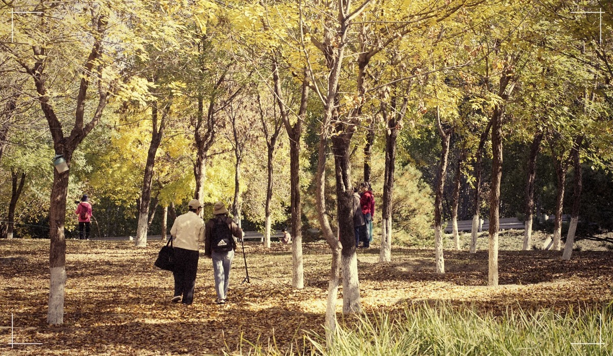 秋色斑斓 脚下留情！