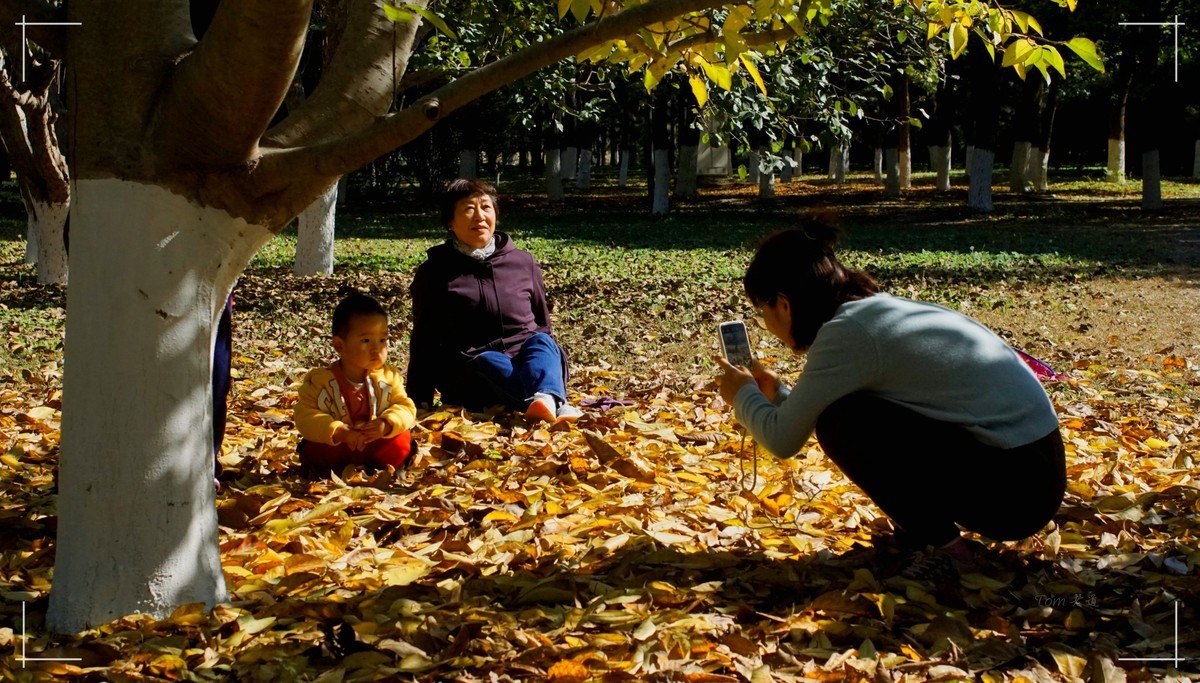 秋色斑斓 脚下留情！