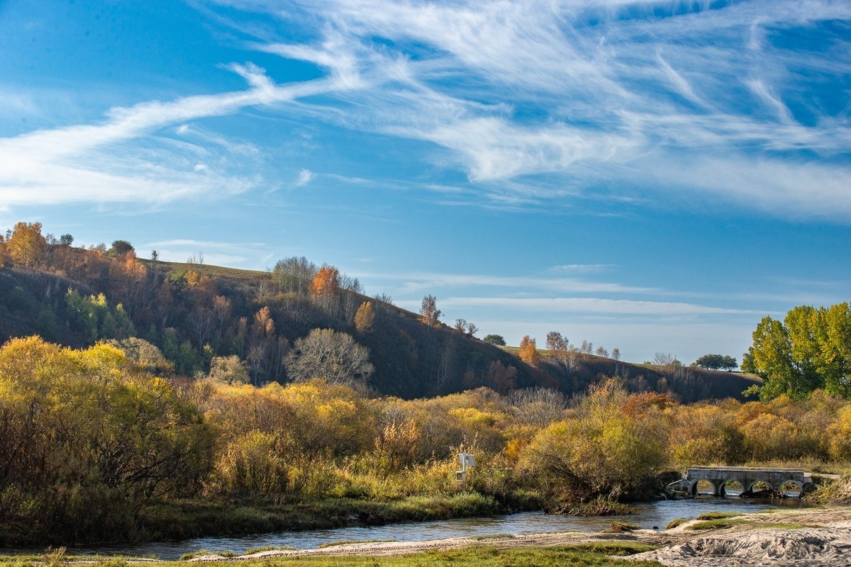 树树秋声，山山寒色。