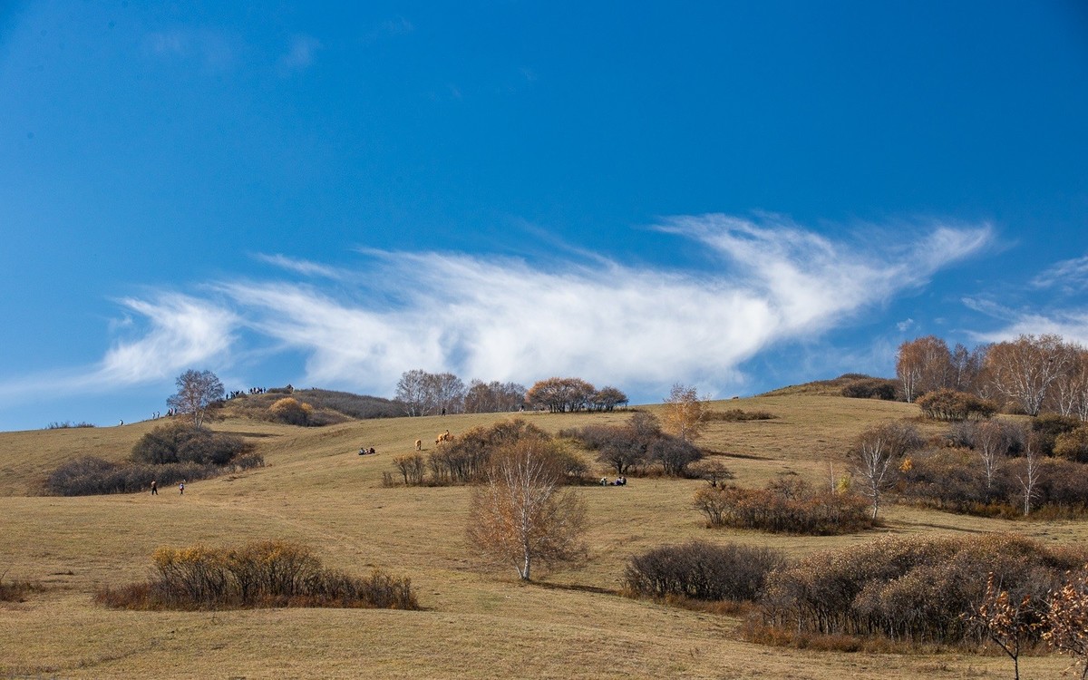树树秋声，山山寒色。