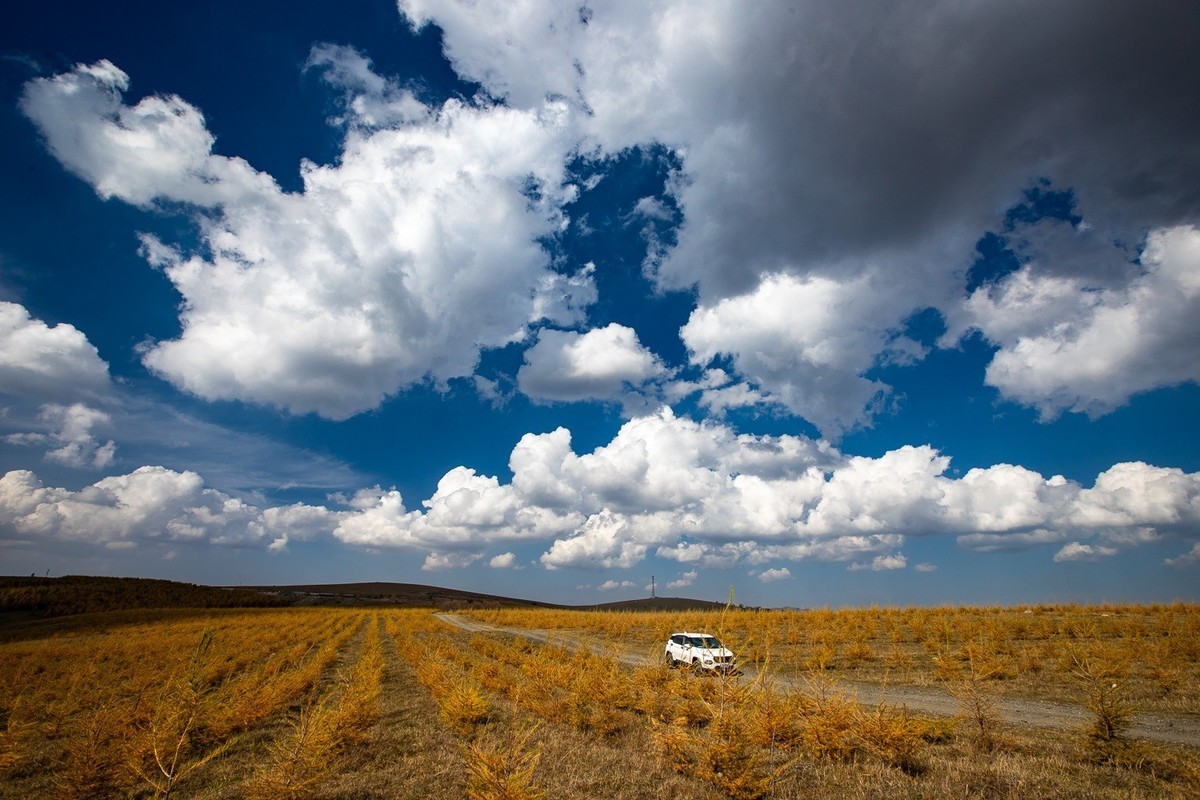 树树秋声，山山寒色。