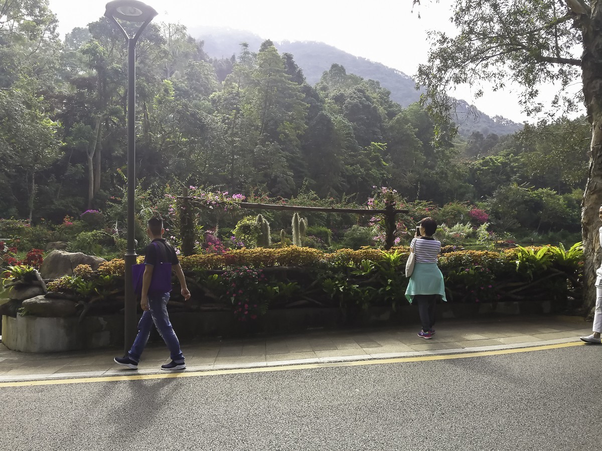 深圳仙湖植物园 ~ 掠影