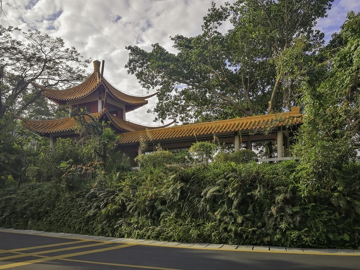 深圳仙湖植物园 ~ 掠影