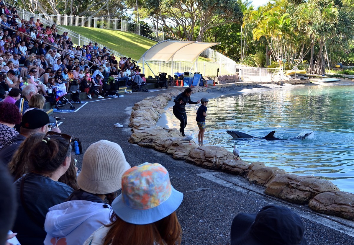 澳大利亚的黄金海岸  1/6