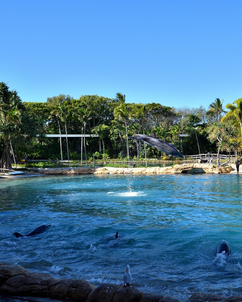 澳大利亚的黄金海岸  1/6