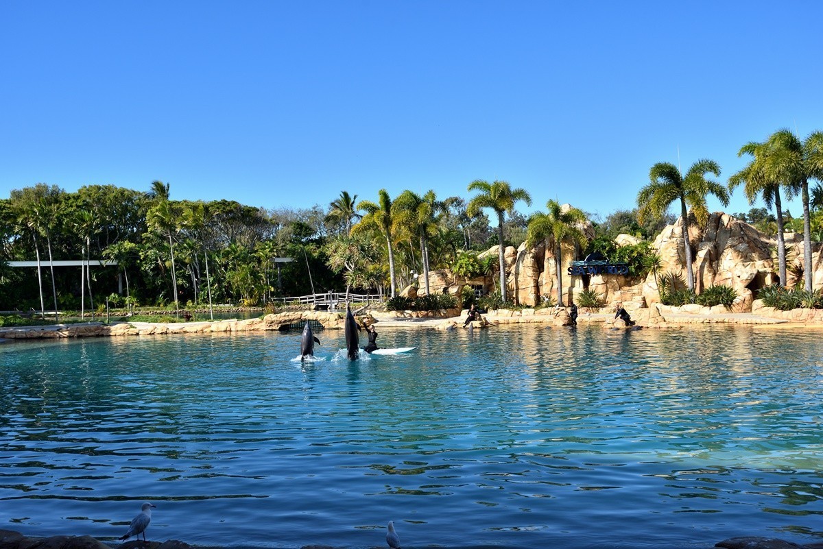 澳大利亚的黄金海岸  1/6