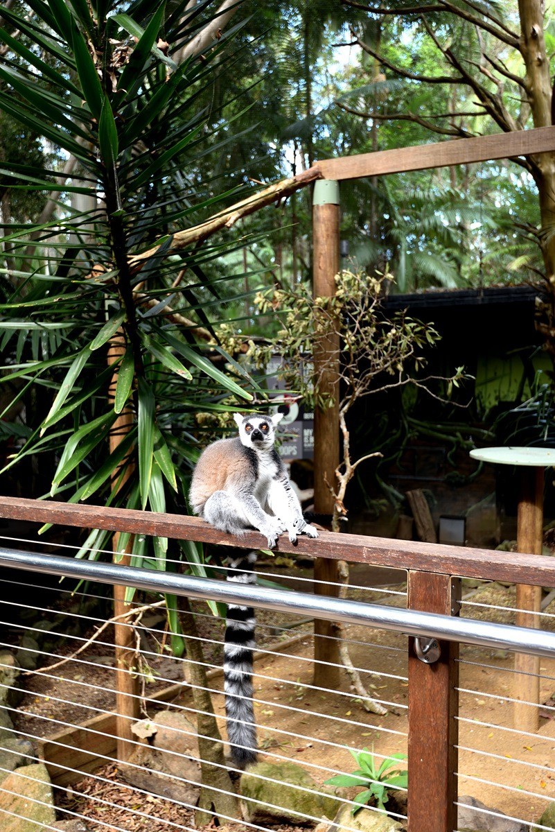 澳大利亚的黄金海岸  1/6