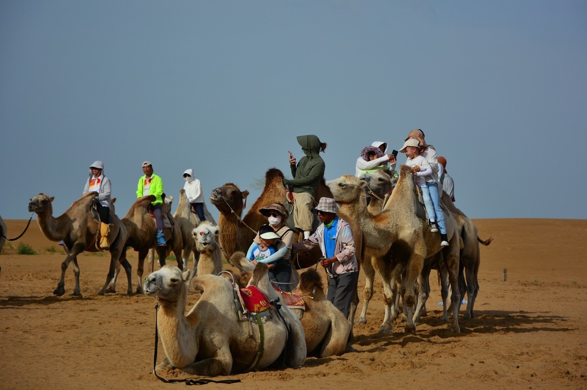内蒙游印象之二