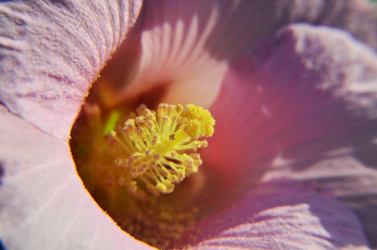 加一块*4近摄镜