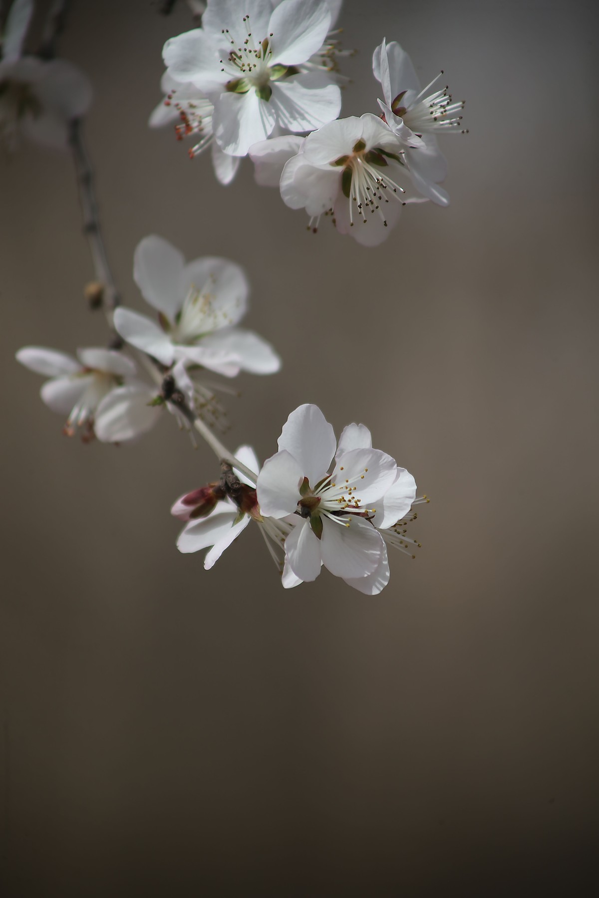 1DIV卖了，换了一个1DX。