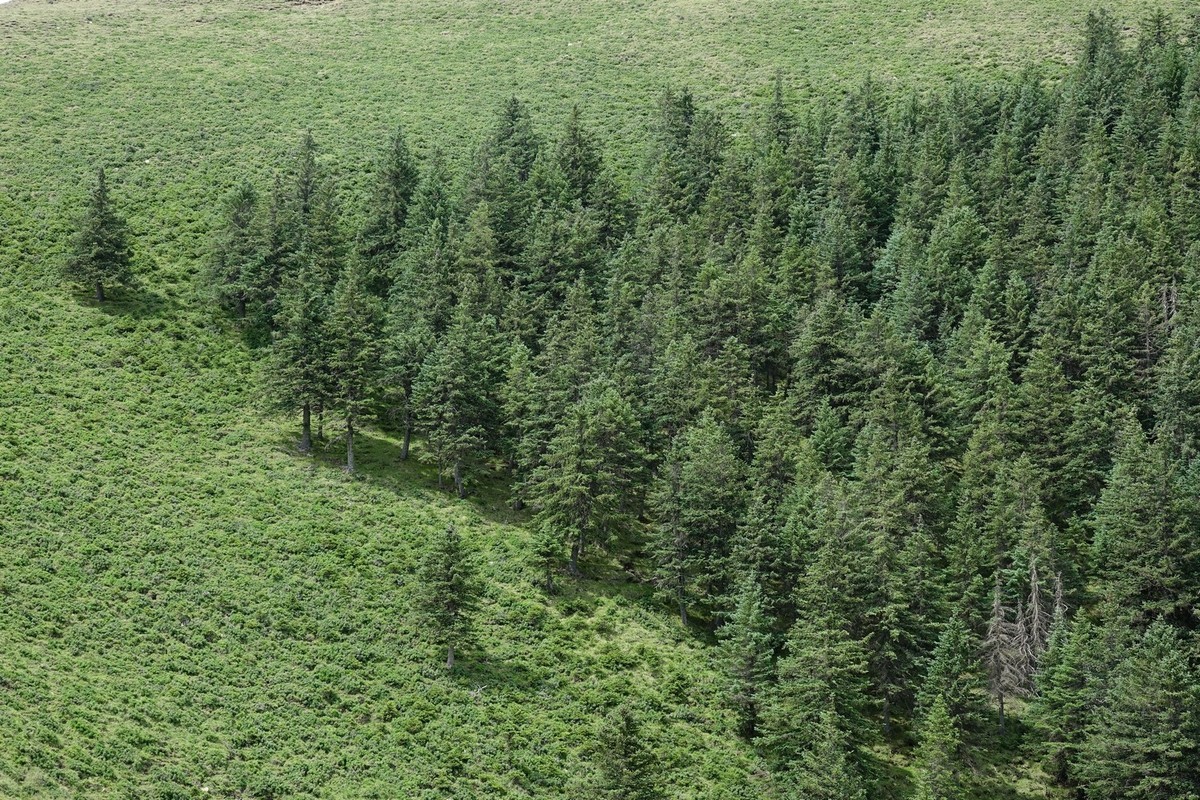 周末攀登贺兰山巴峰-中关村在线摄影论坛