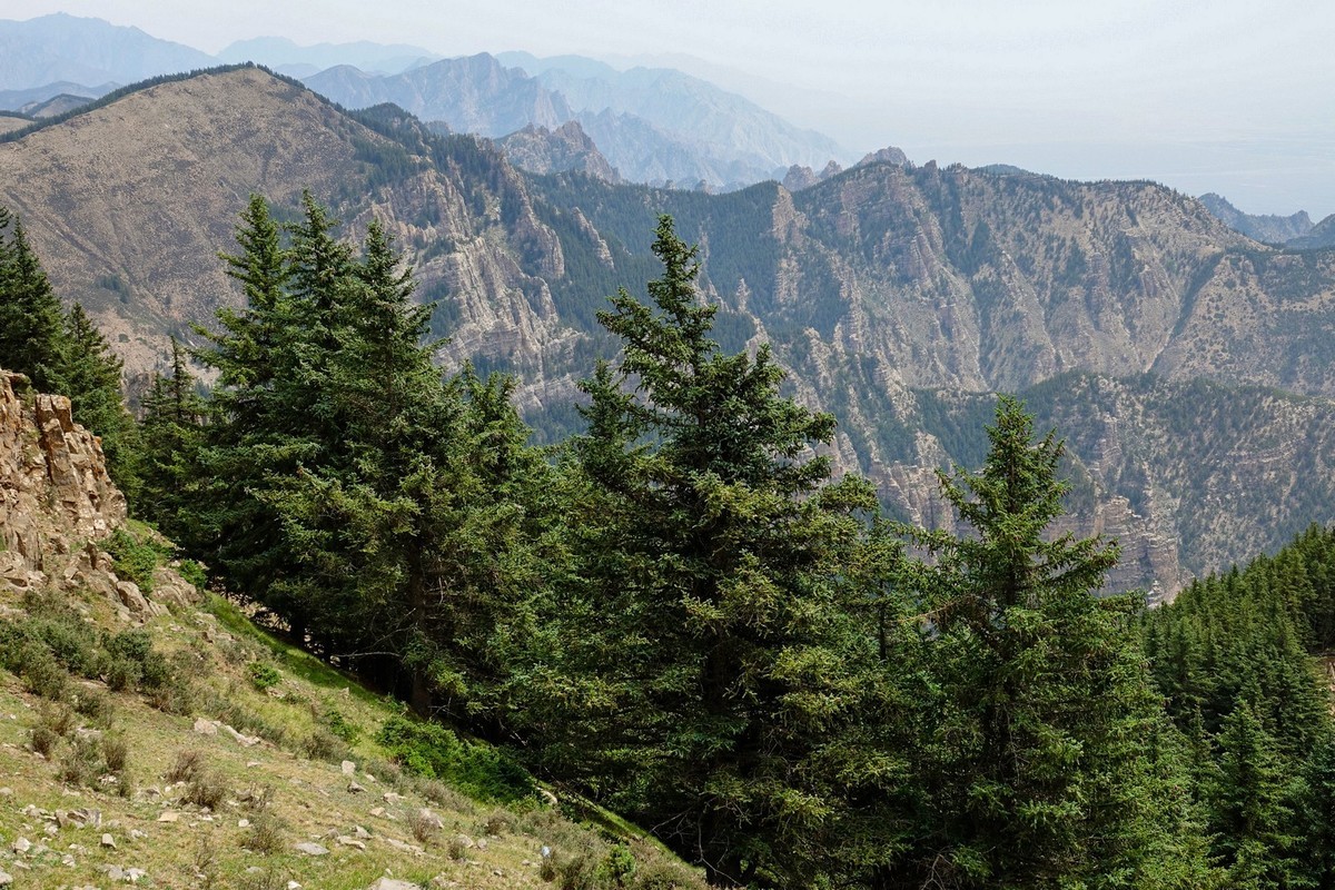 周末攀登贺兰山巴峰（下）
